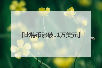 比特币涨破11万美元
