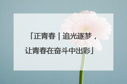 正青春｜追光逐梦，让青春在奋斗中出彩