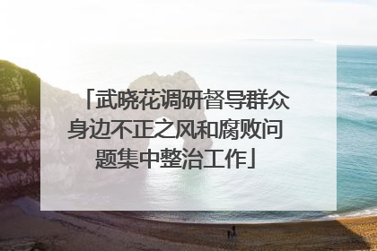 武晓花调研督导群众身边不正之风和腐败问题集中整治工作