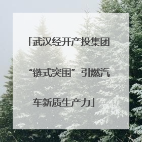 武汉经开产投集团“链式突围”引燃汽车新质生产力