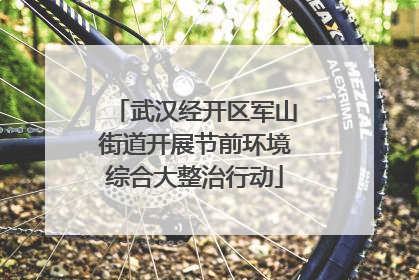 武汉经开区军山街道开展节前环境综合大整治行动