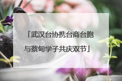 武汉台协携台商台胞与蔡甸学子共庆双节