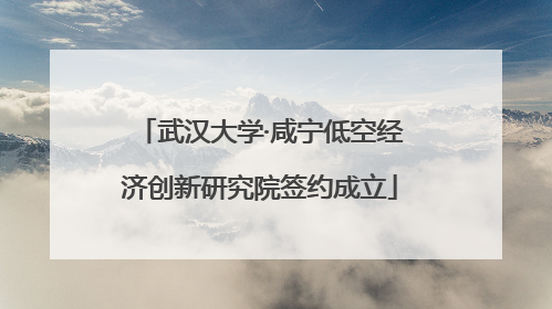 武汉大学·咸宁低空经济创新研究院签约成立
