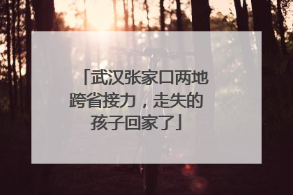 武汉张家口两地跨省接力，走失的孩子回家了