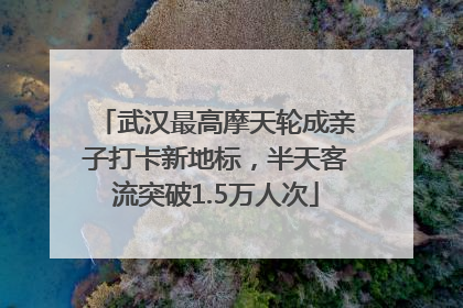 武汉最高摩天轮成亲子打卡新地标，半天客流突破1.5万人次