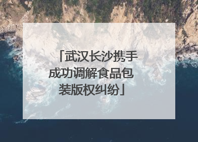 武汉长沙携手成功调解食品包装版权纠纷