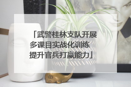 武警桂林支队开展多课目实战化训练 提升官兵打赢能力