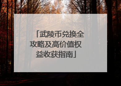 武陵币兑换全攻略及高价值权益收获指南