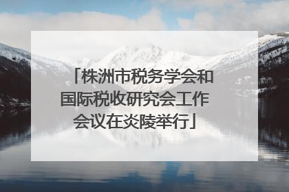 株洲市税务学会和国际税收研究会工作会议在炎陵举行