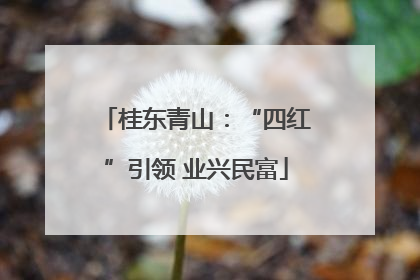 桂东青山：“四红”引领 业兴民富