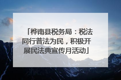 桦南县税务局：税法同行普法为民，积极开展民法典宣传月活动