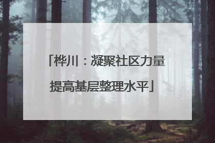 桦川：凝聚社区力量 提高基层整理水平