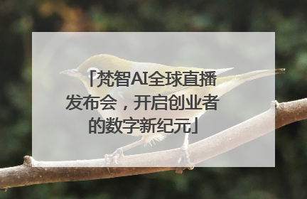 梵智AI全球直播发布会，开启创业者的数字新纪元