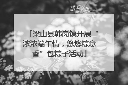 梁山县韩岗镇开展“浓浓端午情，悠悠粽意香”包粽子活动