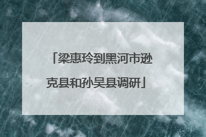 梁惠玲到黑河市逊克县和孙吴县调研