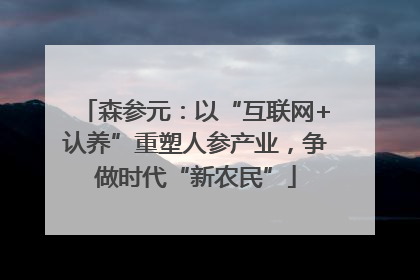 森参元：以“互联网+认养”重塑人参产业，争做时代“新农民”