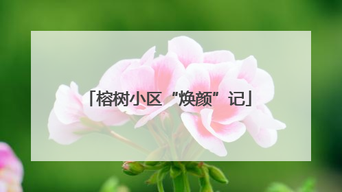 榕树小区“焕颜”记