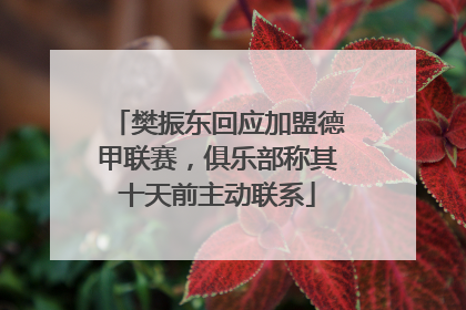 樊振东回应加盟德甲联赛，俱乐部称其十天前主动联系