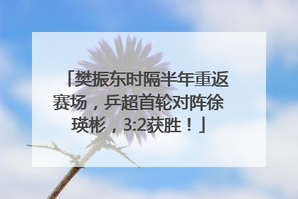 樊振东时隔半年重返赛场，乒超首轮对阵徐瑛彬，3:2获胜！