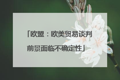 欧盟：欧美贸易谈判前景面临不确定性