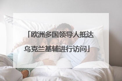 欧洲多国领导人抵达乌克兰基辅进行访问