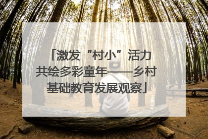 激发“村小”活力 共绘多彩童年——乡村基础教育发展观察