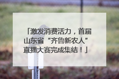 激发消费活力,首届山东省“齐鲁新农人”直播大赛完成集结!