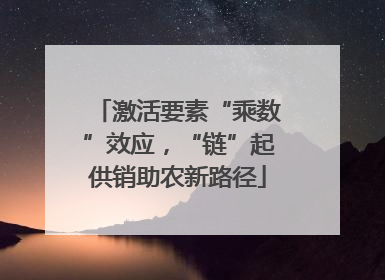激活要素“乘数”效应，“链”起供销助农新路径