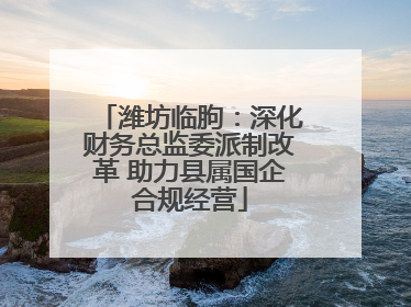 潍坊临朐：深化财务总监委派制改革 助力县属国企合规经营