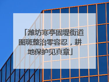 潍坊寒亭固堤街道图斑整治零容忍，耕地保护见真章