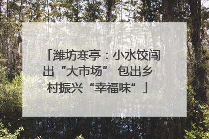 潍坊寒亭：小水饺闯出“大市场” 包出乡村振兴“幸福味”