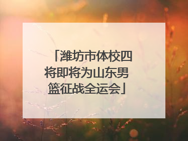 潍坊市体校四将即将为山东男篮征战全运会