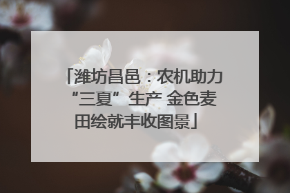 潍坊昌邑：农机助力“三夏”生产 金色麦田绘就丰收图景