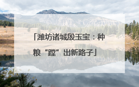 潍坊诸城殷玉宝：种粮“蹚”出新路子