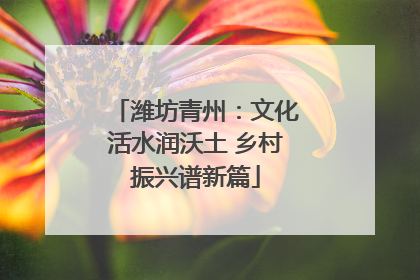 潍坊青州：文化活水润沃土 乡村振兴谱新篇