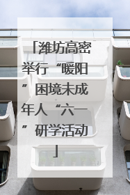 潍坊高密举行“暖阳”困境未成年人“六一”研学活动
