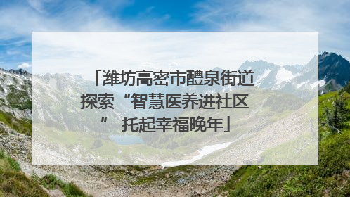 潍坊高密市醴泉街道探索“智慧医养进社区” 托起幸福晚年
