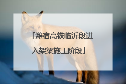 潍宿高铁临沂段进入架梁施工阶段