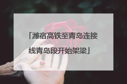 潍宿高铁至青岛连接线青岛段开始架梁