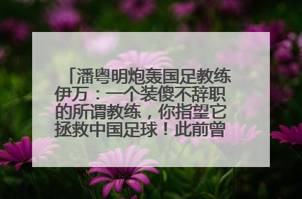潘粤明炮轰国足教练伊万：一个装傻不辞职的所谓教练，你指望它拯救中国足球！此前曾多次发文评价国足
