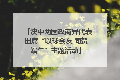 澳中两国政商界代表出席“以球会友·同贺端午”主题活动