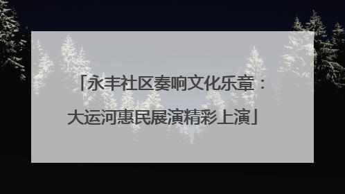 永丰社区奏响文化乐章：大运河惠民展演精彩上演