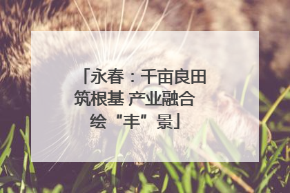 永春：千亩良田筑根基 产业融合绘“丰”景