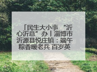 民生大小事 “沂心沂意”办丨淄博市沂源县悦庄镇：端午粽香暖老兵 百岁英雄述峥嵘