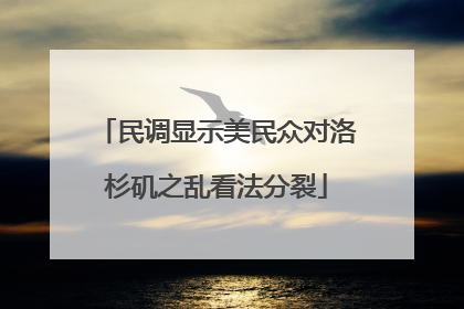 民调显示美民众对洛杉矶之乱看法分裂