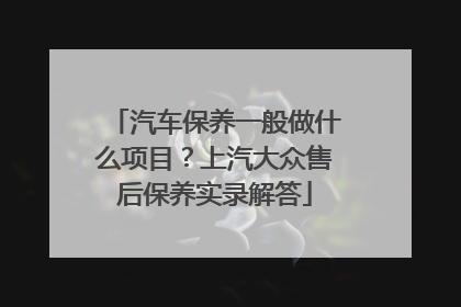 汽车保养一般做什么项目？上汽大众售后保养实录解答