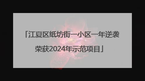 江夏区纸坊街一小区一年逆袭 荣获2024年示范项目