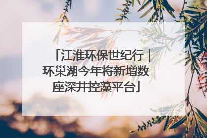 江淮环保世纪行｜环巢湖今年将新增数座深井控藻平台