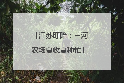 江苏盱眙：三河农场夏收夏种忙
