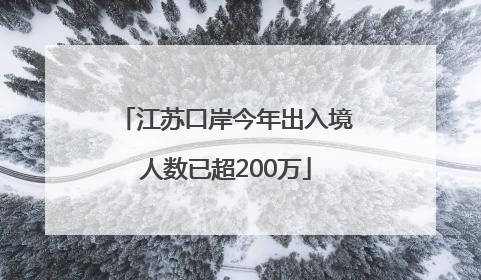 江苏口岸今年出入境人数已超200万
